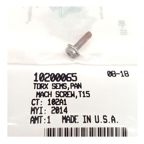 10200065