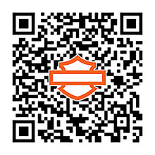 Load image into Gallery viewer, 16574-99a.jpg
