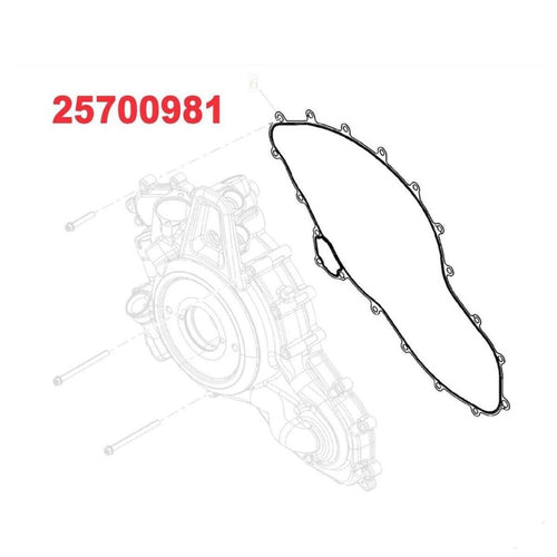 25700981