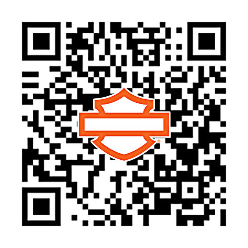 33600125