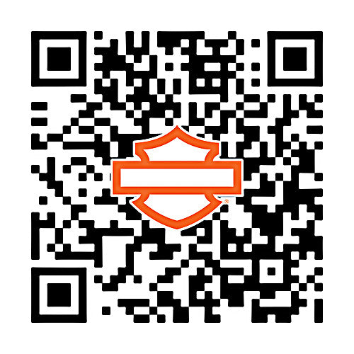 33900175