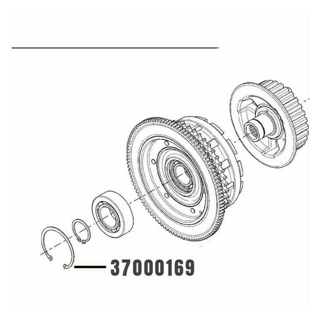 37000169