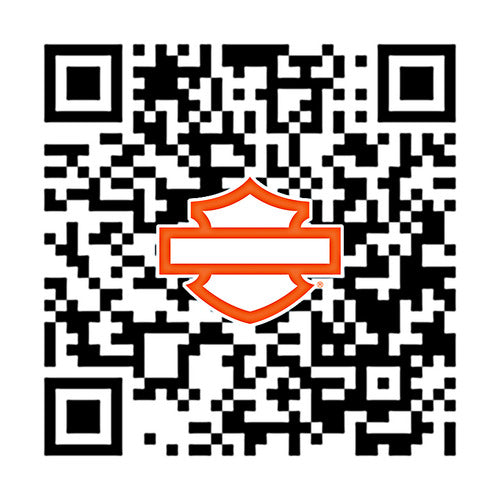 43300483