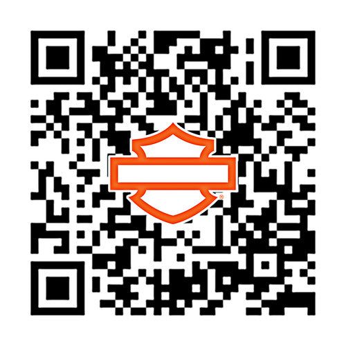 50500699