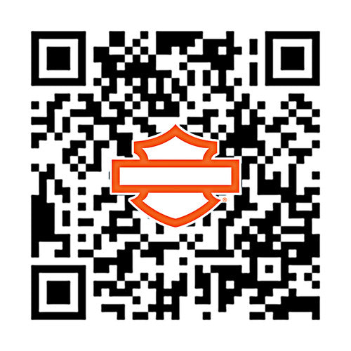 50500753