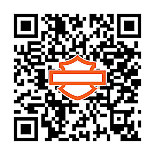 50600262