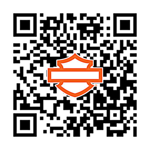 50600263