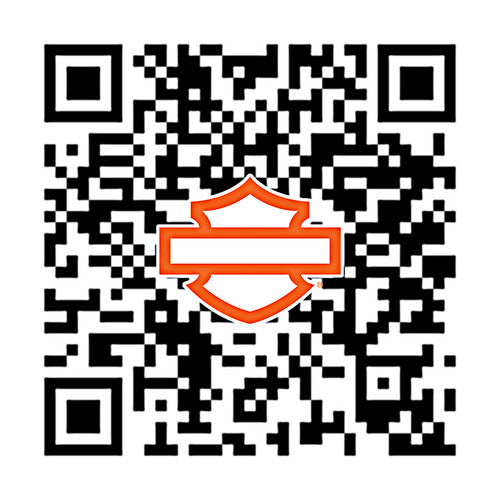 50600274