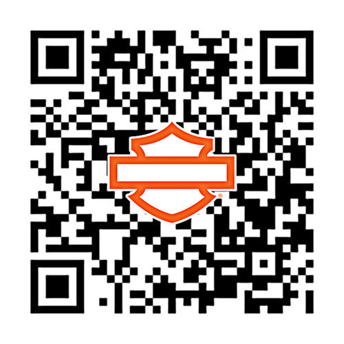 50600329