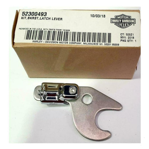 52300493