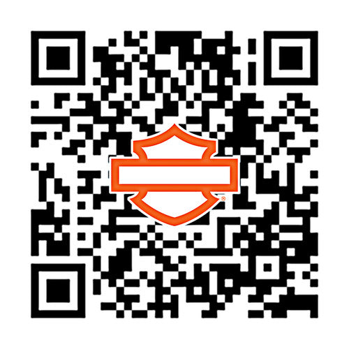 55900034