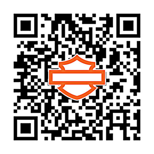 57400253