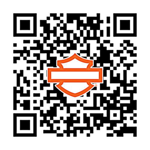 58900026