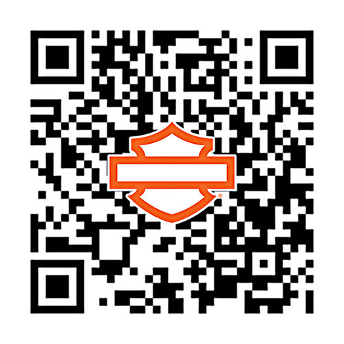 59500429