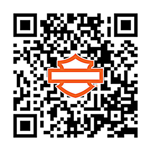 61100065