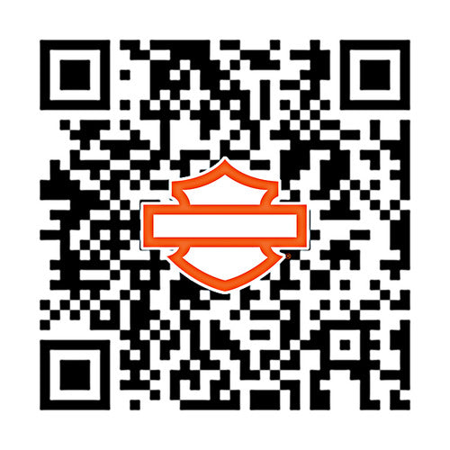 65400380