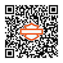 Load image into Gallery viewer, b0800.4z.jpg
