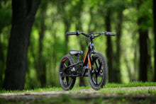 Load image into Gallery viewer, IRONe16 Balance Bike
